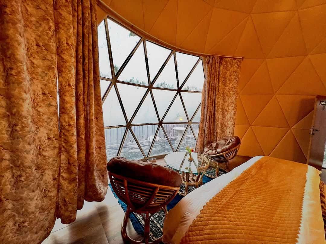 WhatsApp Image 2025-10-11 at 1.23.55 PM (2)